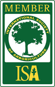 Certifierad arborist