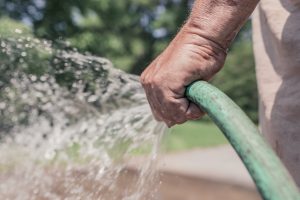 man-hand-garden-growth