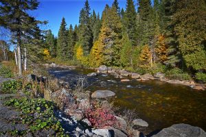 autumn-landscape-2901469_1920