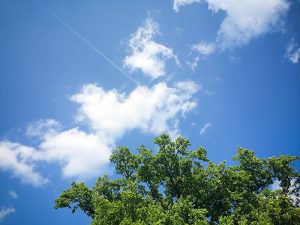 clouds-with-tree-picjumbo-com_dsfbsdbgsdbgsKJBGShosdf