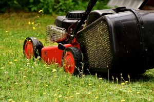 lawn-mower-2430725_1920